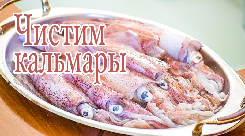 Chobotnice na misce