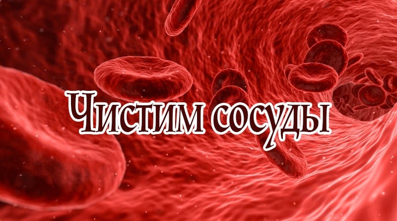 Krevní oběh