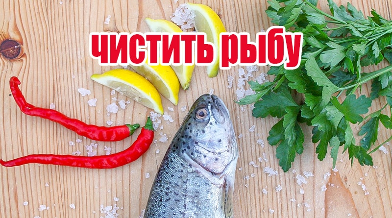 Ryby s citronem, paprikou a bylinkami