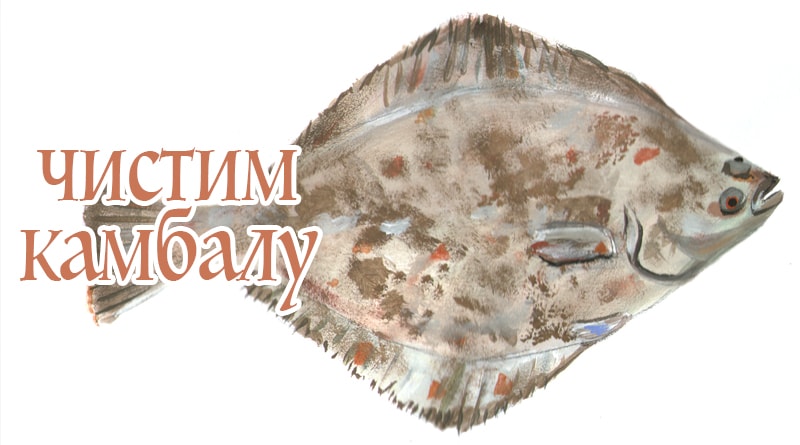 Platýs