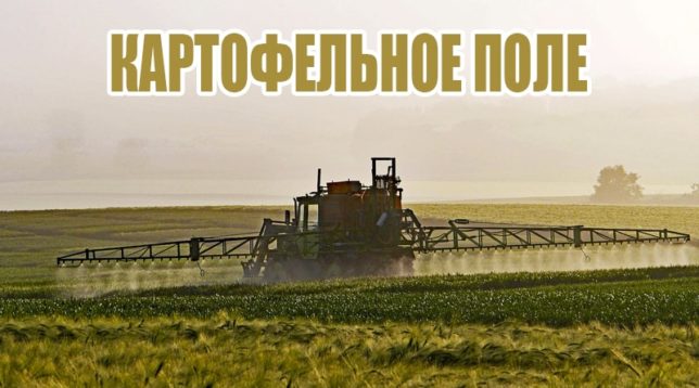 Il campo
