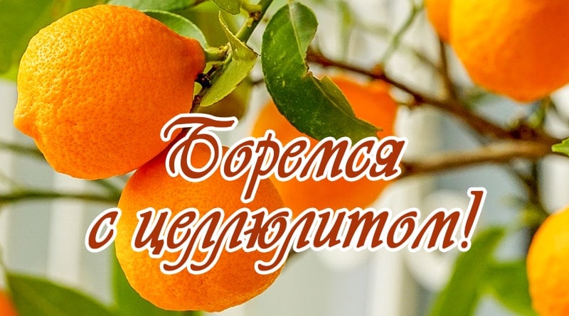 Taronges en una branca