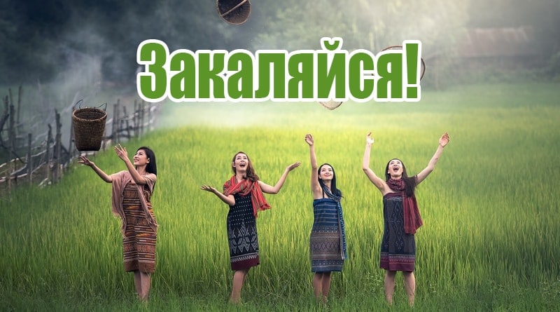 Dívky v poli
