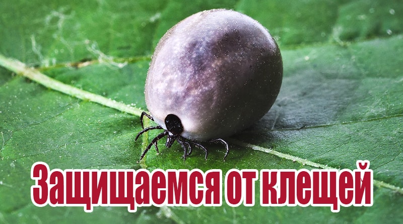 Zaškrtněte na listu