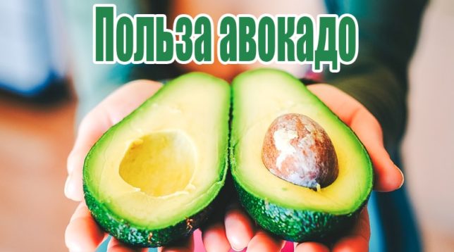 Avokádo v rukou