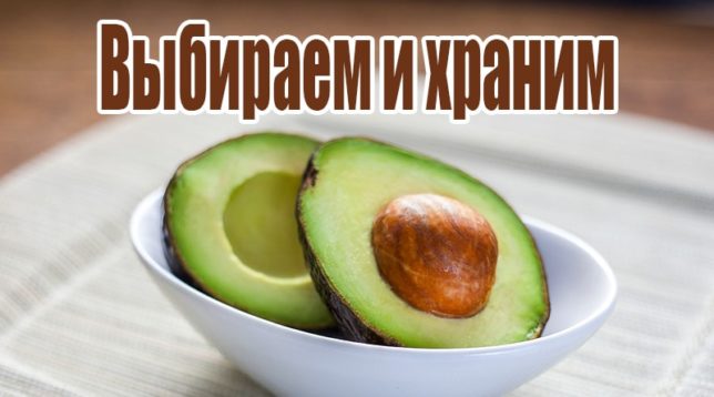 Avokádo v talíři