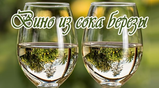 Wein