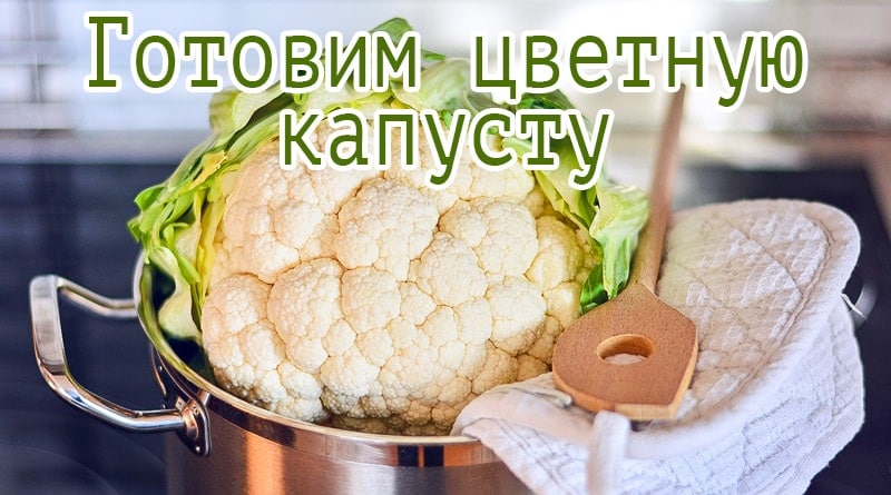 כרובית טרייה