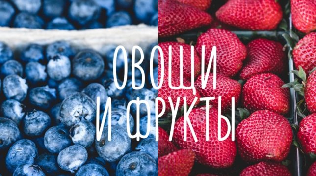 Fruites i verdures