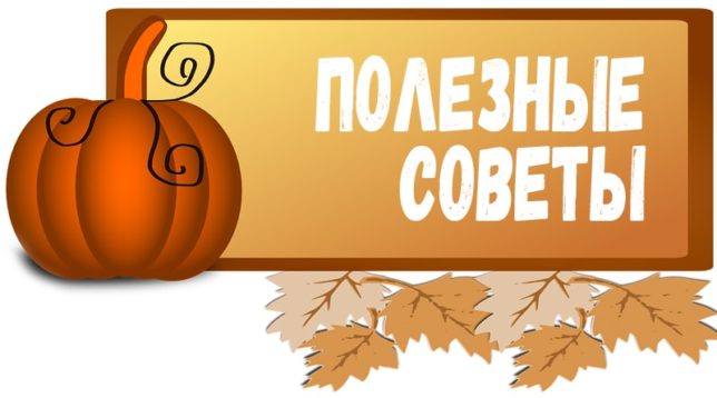 Užitečné tipy