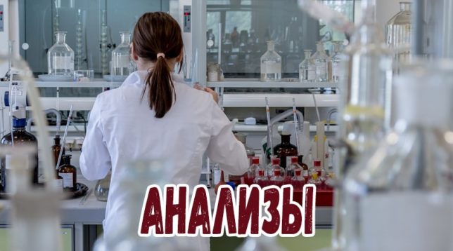 Jak snížit hladinu cholesterolu doma
