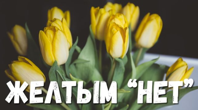 Žluté tulipány
