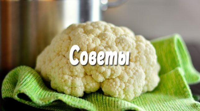 Květenství zelí