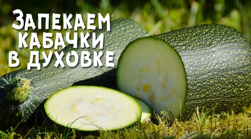 Cuketa v zahradě