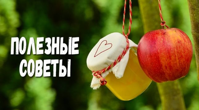 תפוח וקומפוט בצנצנת