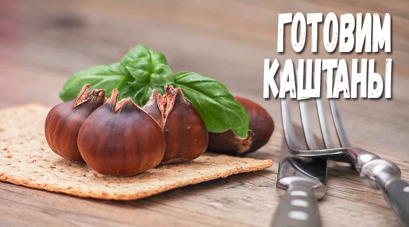 Kaštany na chleba