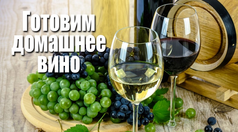 Hroznové červené a bílé víno