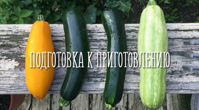 Dažādi cukini veidi