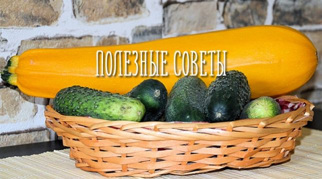 Dzeltens skvošs